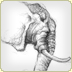 graphite illustration elephant sketch