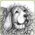 graphite illustration coonhound wearing christmas wreath