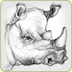 graphite illustration rhino sketch