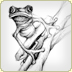 graphite illustration  tree frog sketch